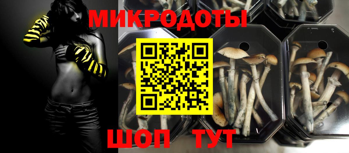 Куйбышев  Псилоцибиновые грибы GOLDEN TEACHER  даркнет сайт  Вход с VPN  Галлюциногенные грибы GOLDEN TEACHER 